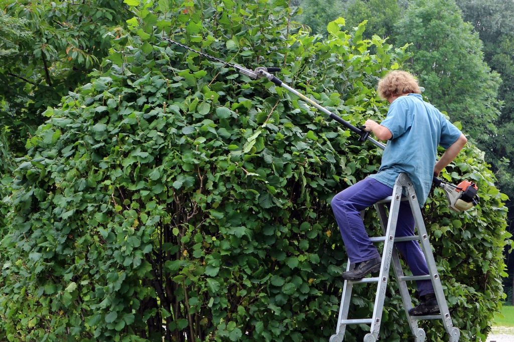 Hedge Cutter Man